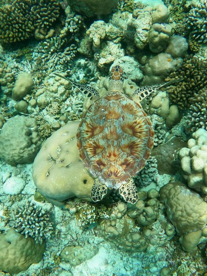 White Coral Rasdhoo Otel Dış mekan fotoğraf